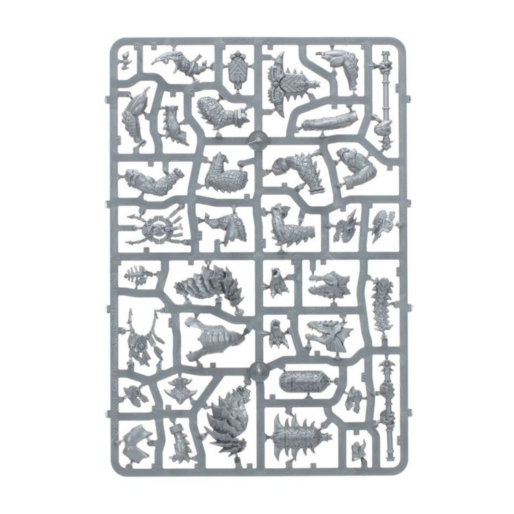 vanguard-seraphon (5).jpg