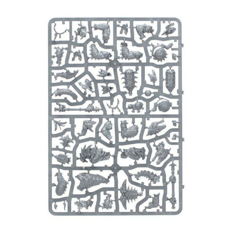 vanguard-seraphon (4).jpg