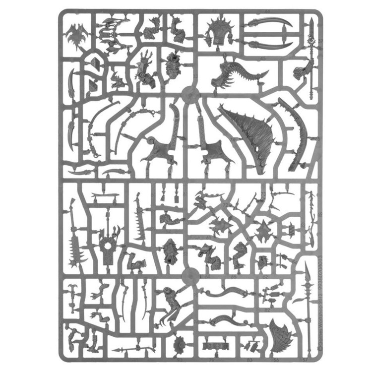 vanguard-seraphon (3).jpg