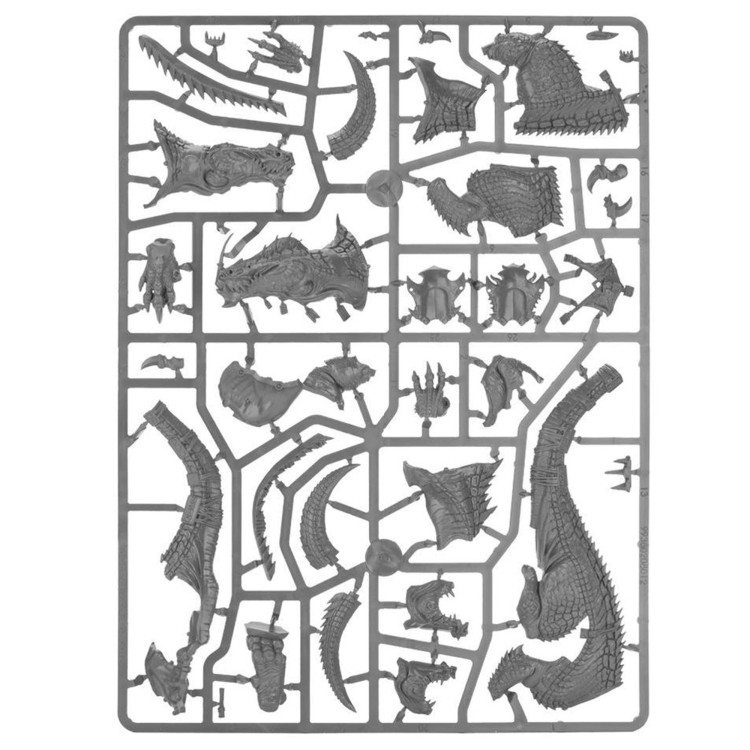 vanguard-seraphon (2).jpg