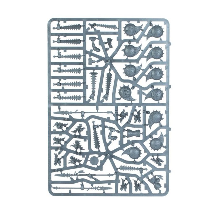 vanguard-seraphon (1).jpg