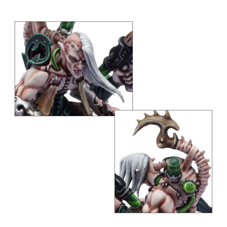 combat-patrol-drukhari(9).jpg