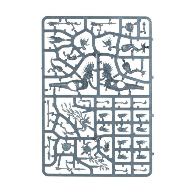 seraphon-raptadon-hunters (2).jpg