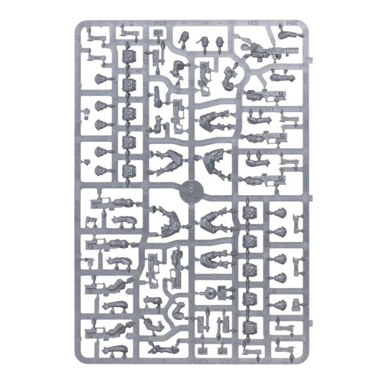 tau-pathfinder-team (4).jpg