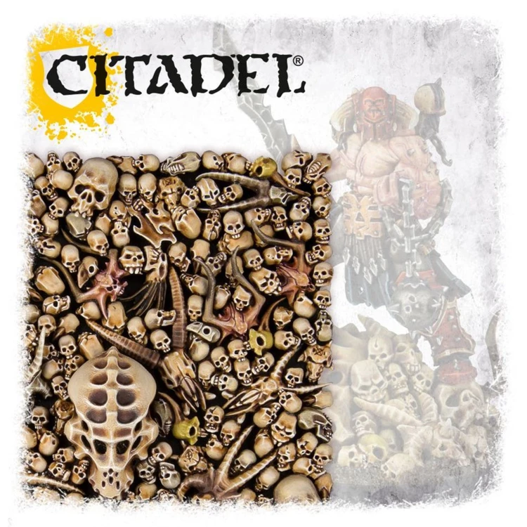 citadel-skulls (1).jpg